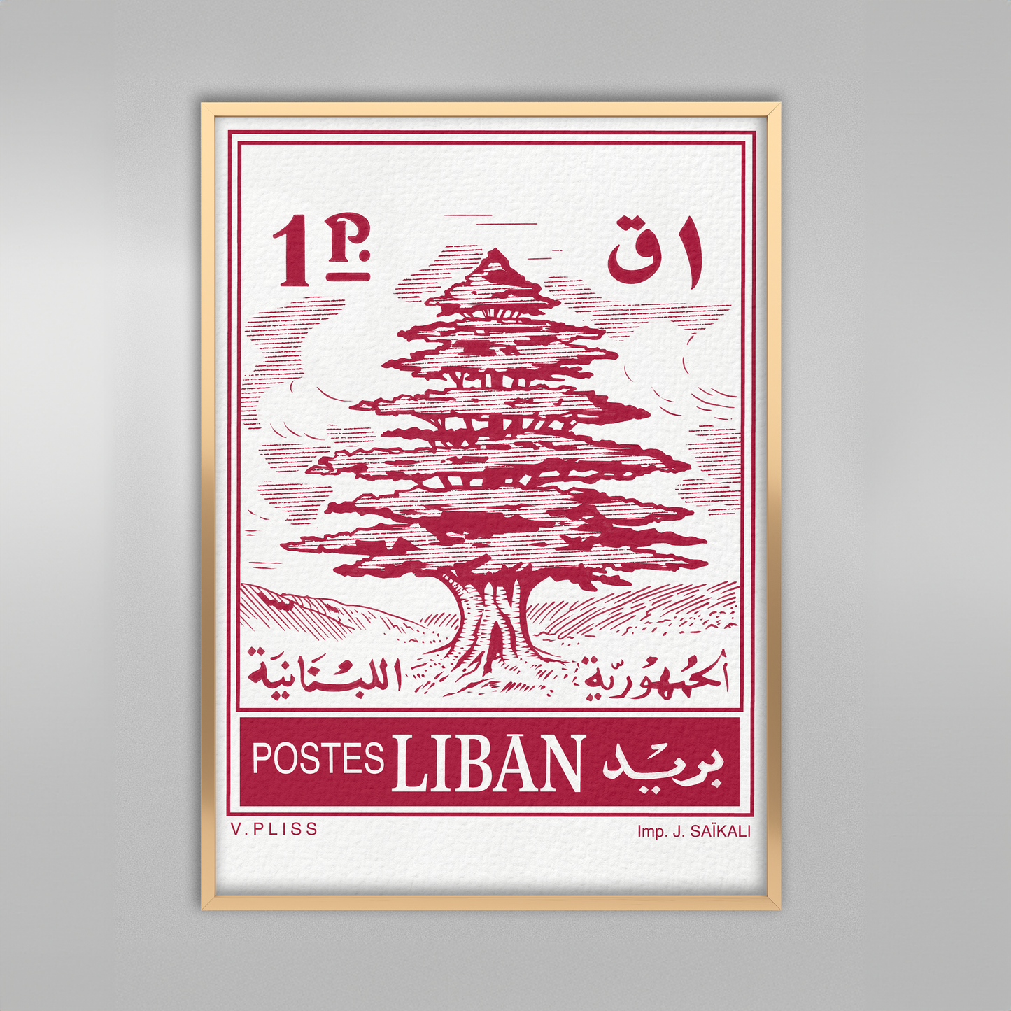 Cèdre du Liban.