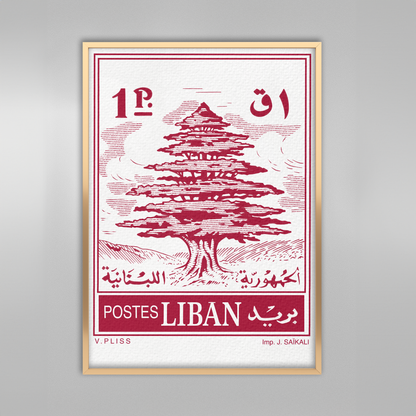 Cèdre du Liban.