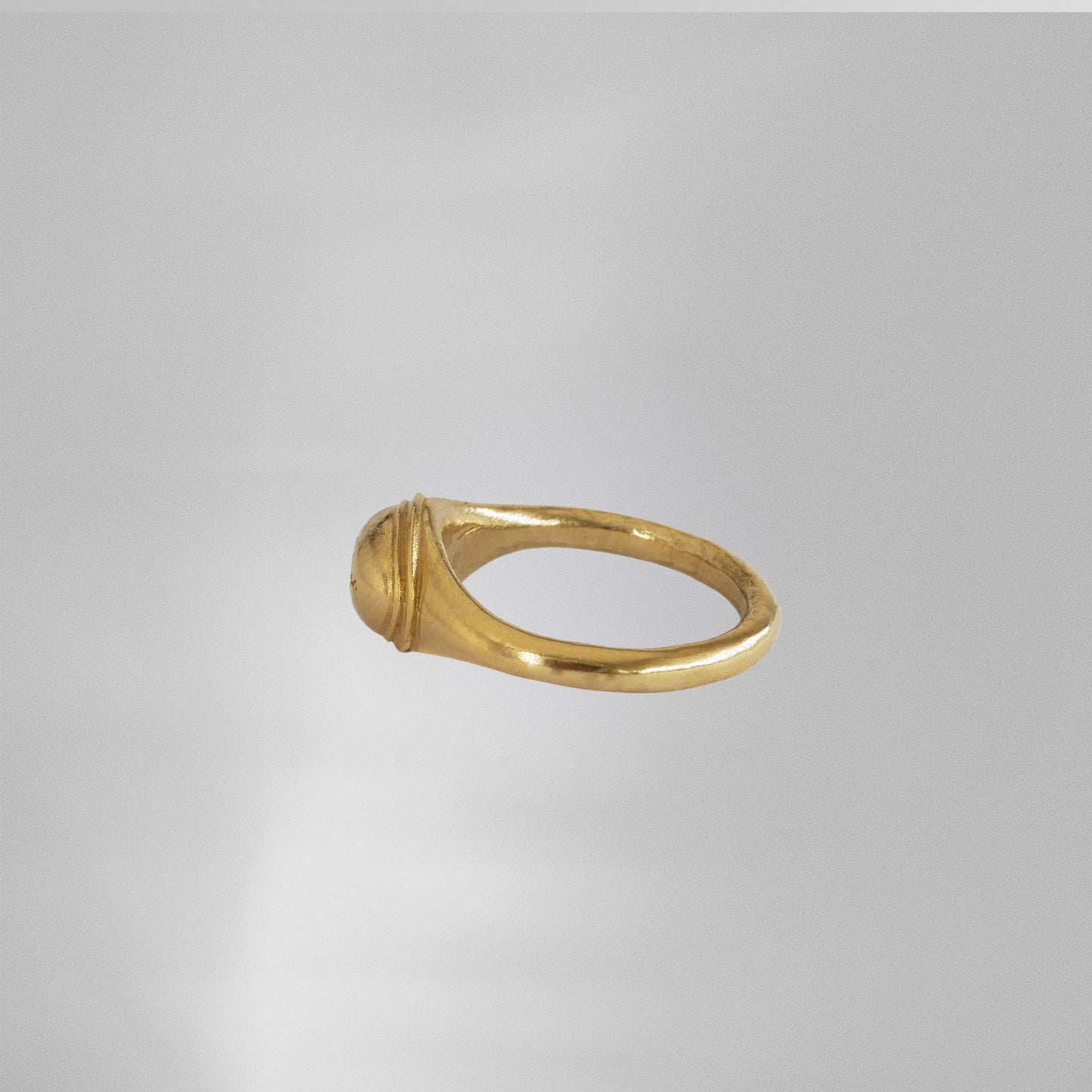 Le Palmier Dattier Amazigh.