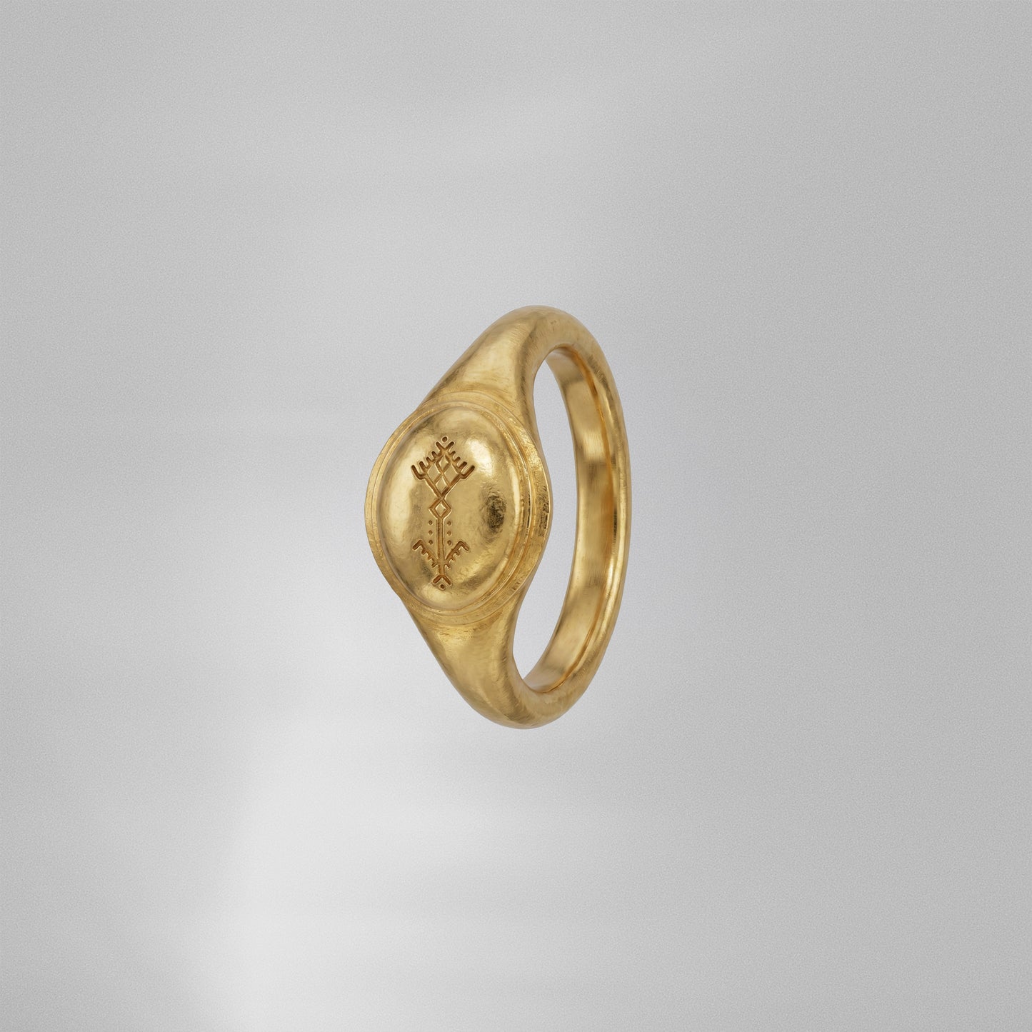 Le Palmier Dattier Amazigh.