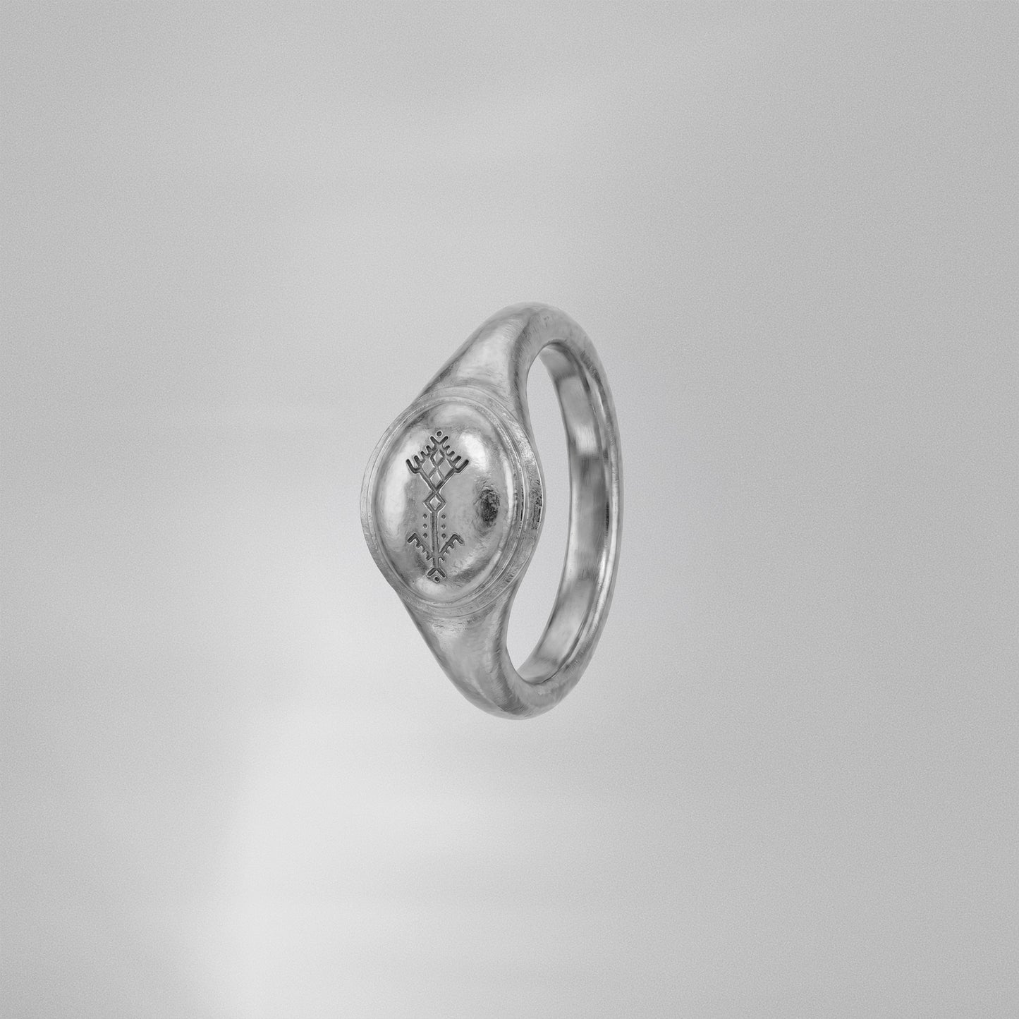 Le Palmier Dattier Amazigh.