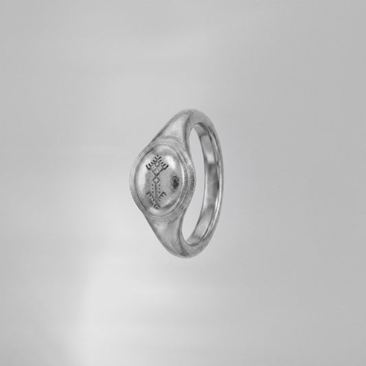 Le Palmier Dattier Amazigh.