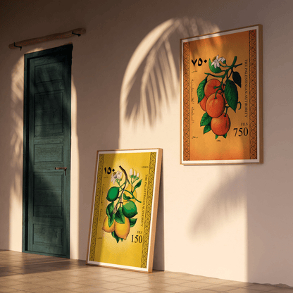 Fleurs d'Oranger et Oranges de Palestine.
