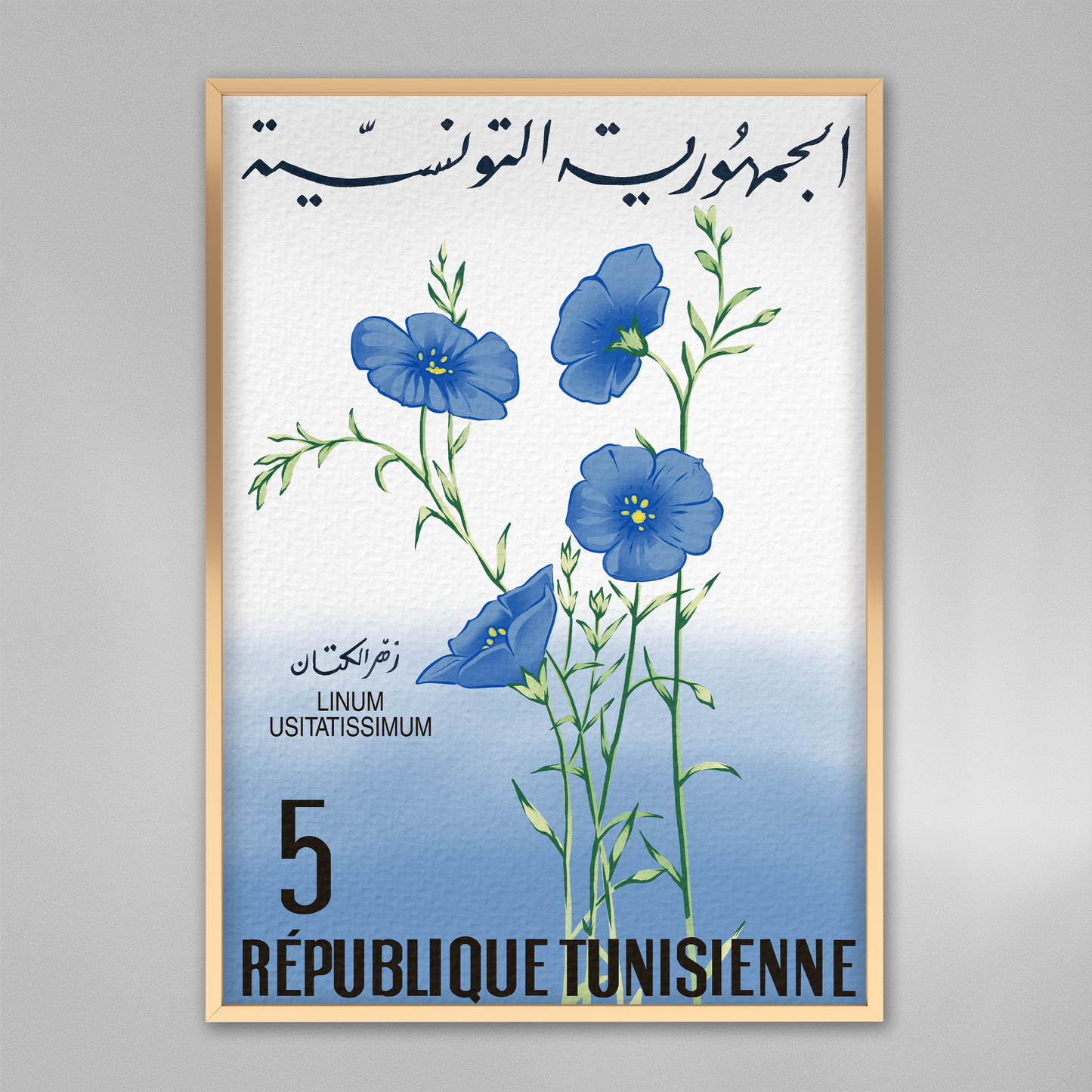 Lin bleu de Tunisie.