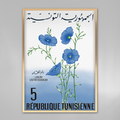 Lin bleu de Tunisie.