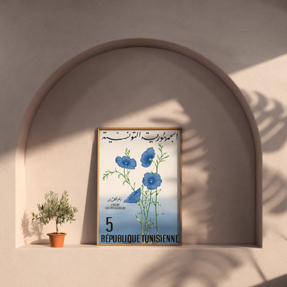 Lin bleu de Tunisie.