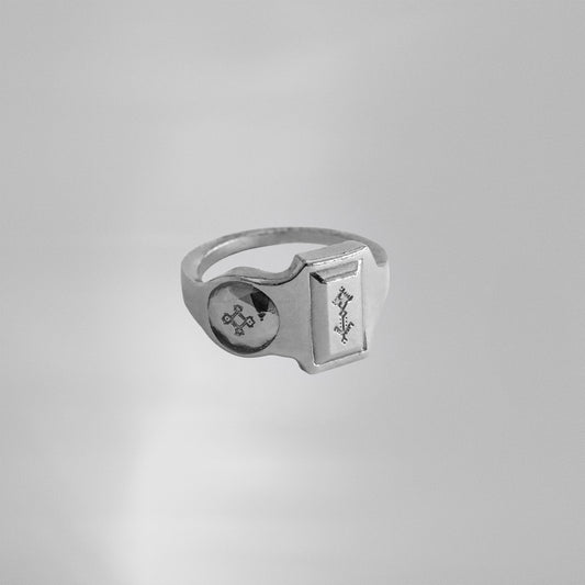 Fleurs de Figuier de Barbarie et Palmier Amazigh. II